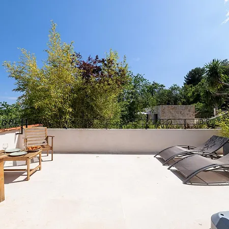 Home&trees - Terra *