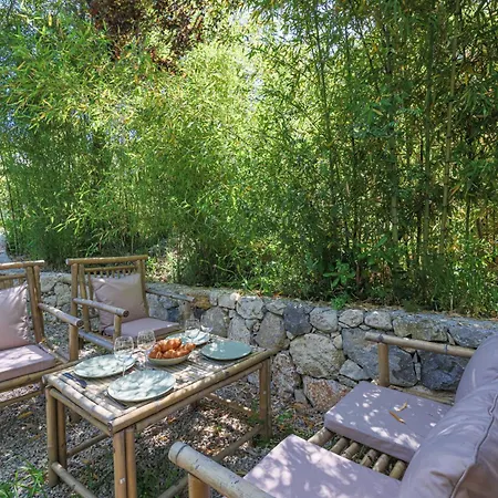 Home&trees - Terra *